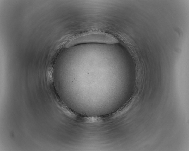 X0000115850432200911131555