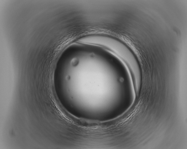 X0000115850433200911131555
