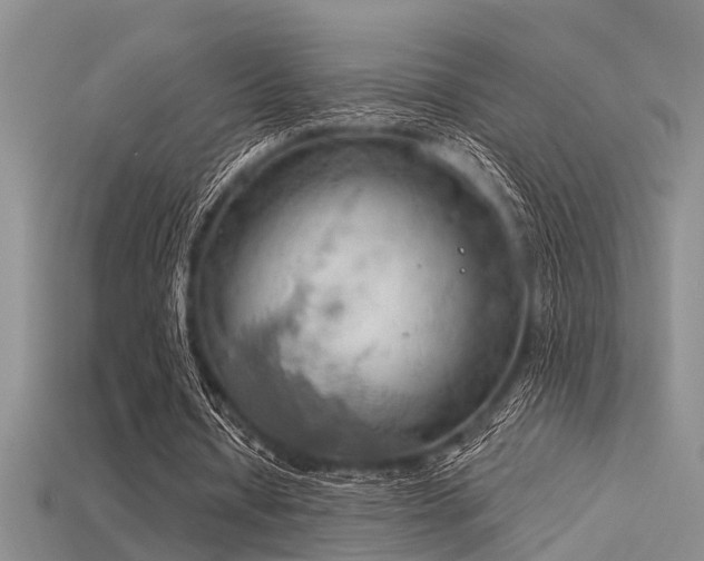 X0000115850434200911131555