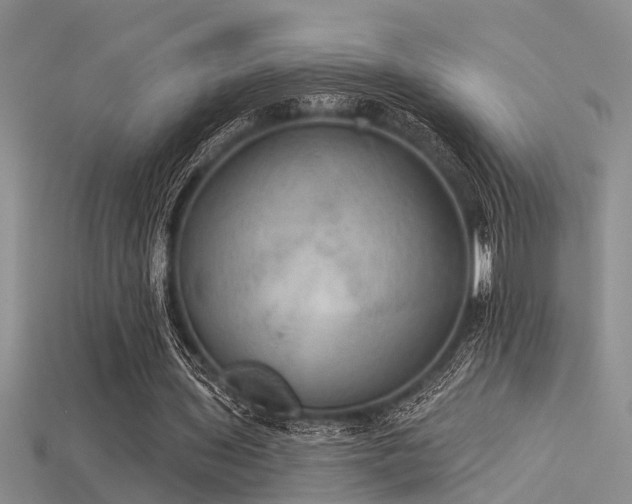 X0000115850435200911131555