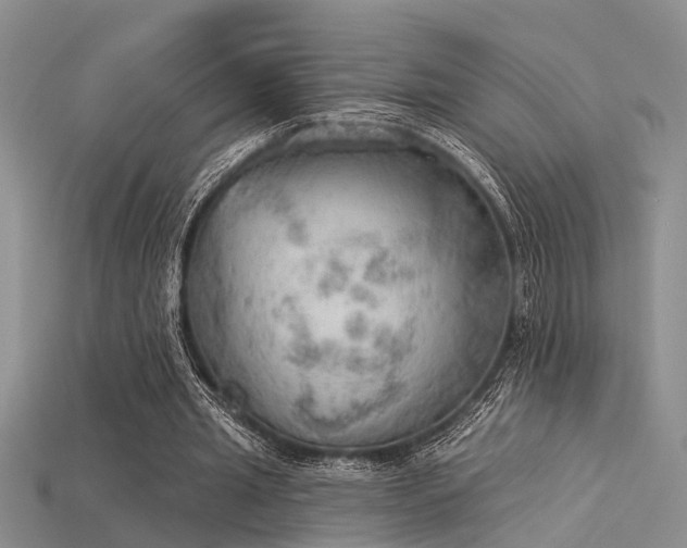 X0000115850437200911131555