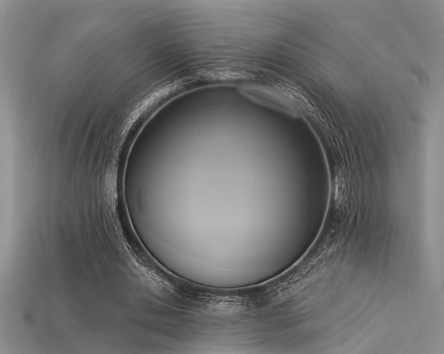 X0000115850438200911131555