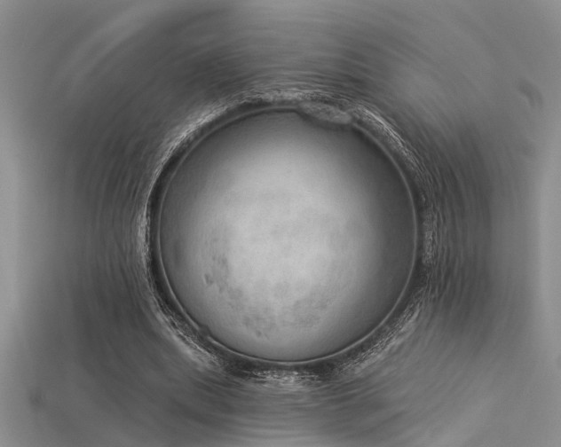 X0000115850439200911131555