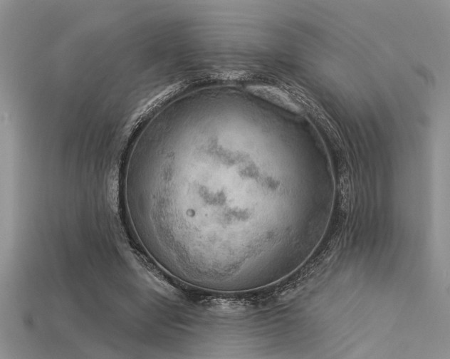 X0000115850442200911131555