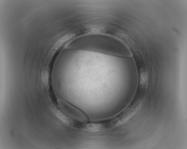 X0000115850444200911131555