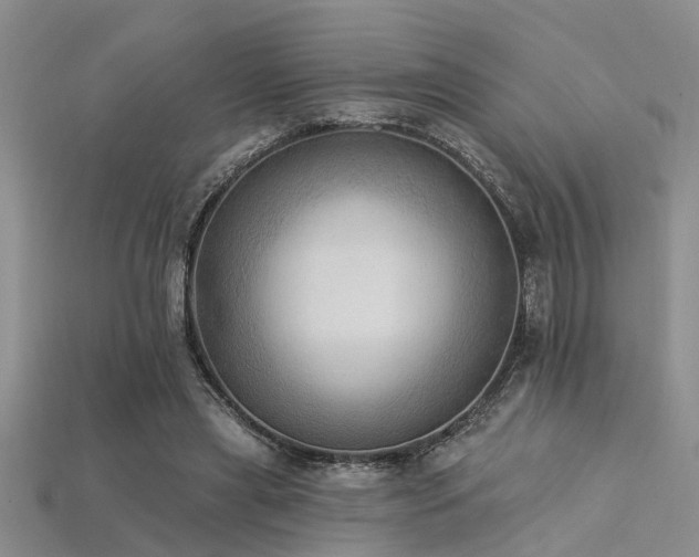 X0000115850445200911131555