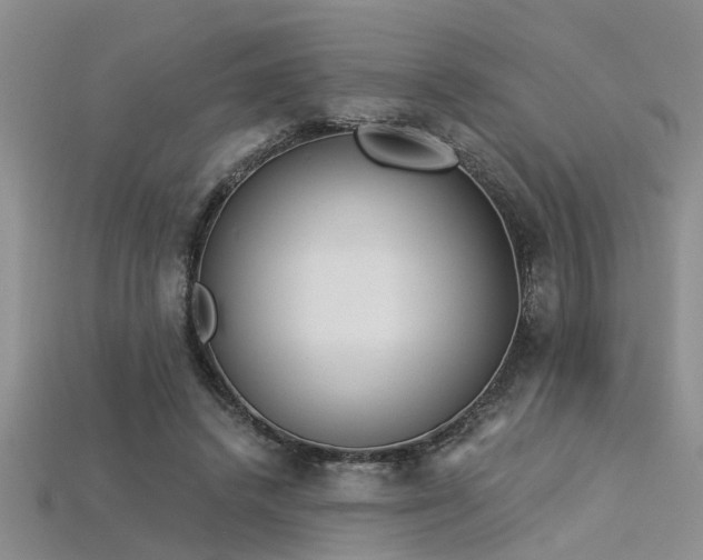 X0000115850448200911131555