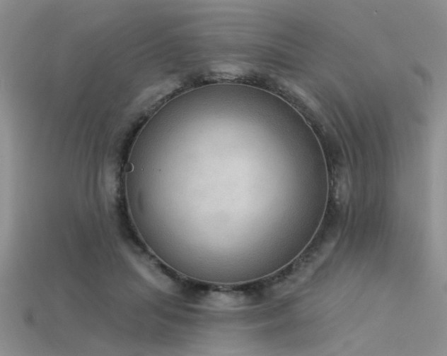X0000115850455200911131555