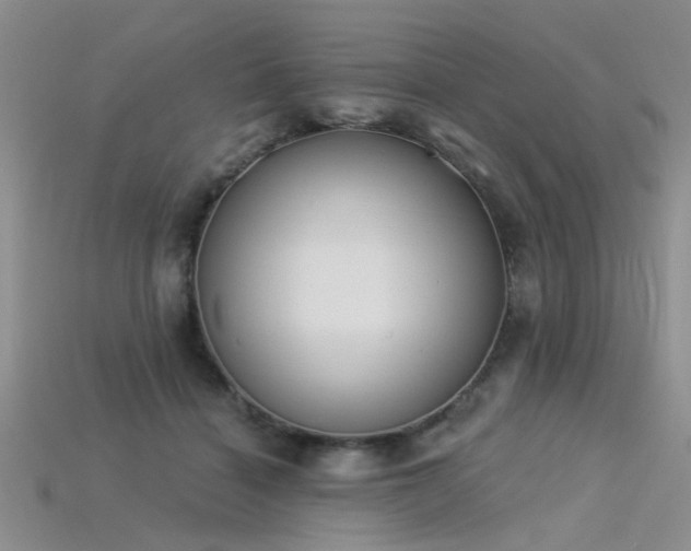 X0000115850460200911131555