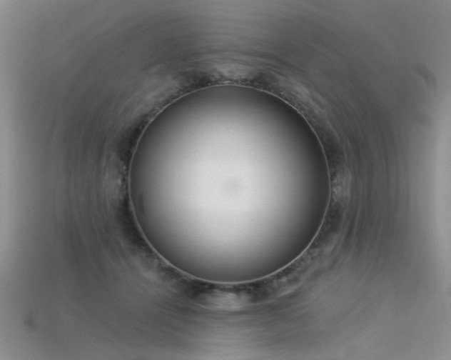 X0000115850464200911131555