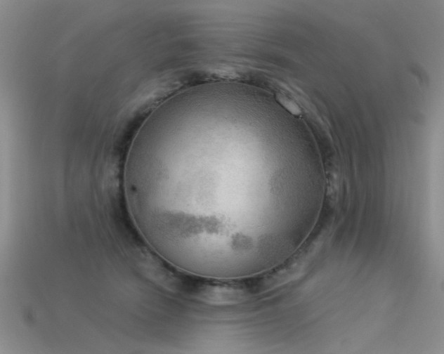 X0000115850466200911131555