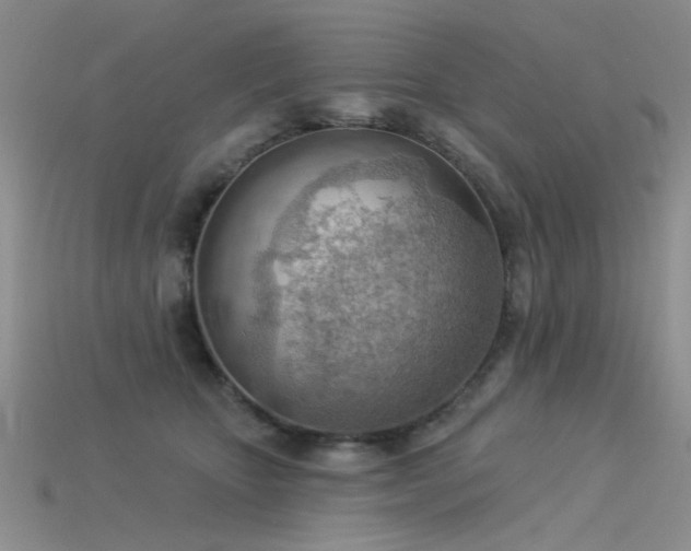 X0000115850467200911131555