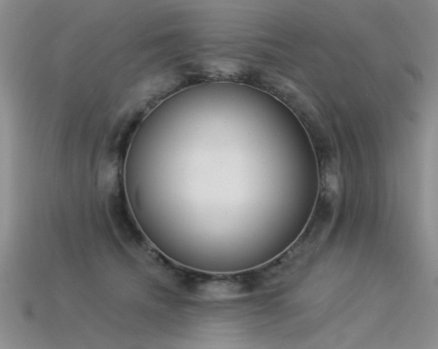 X0000115850468200911131555