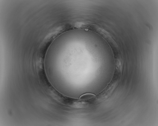 X0000115850470200911131555