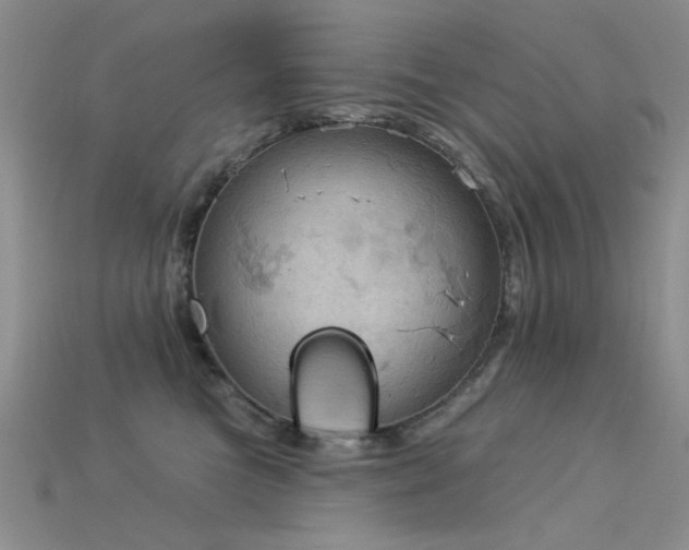 X0000115850473200911131555