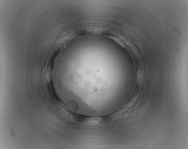 X0000115850474200911131555