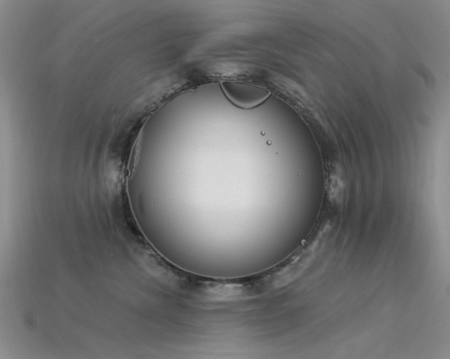 X0000115850476200911131555