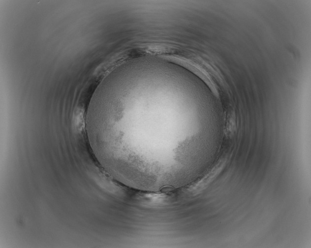 X0000115850478200911131555