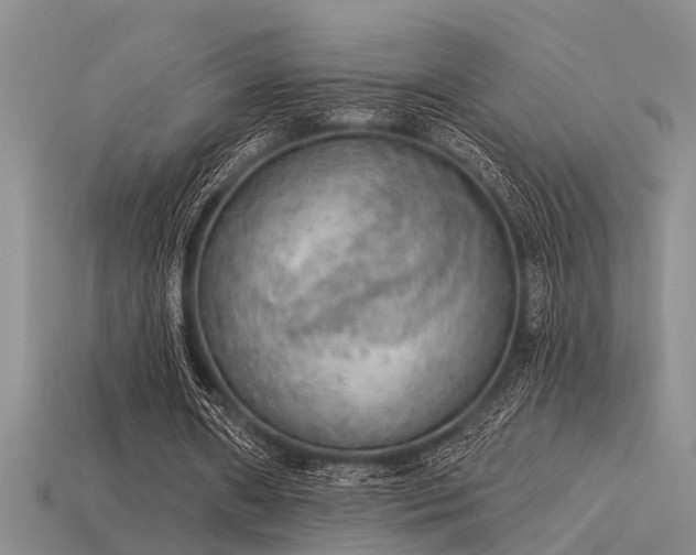X0000115850482200911131555