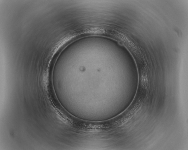 X0000115850484200911131555