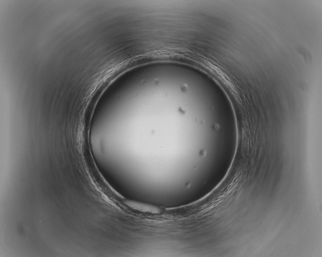 X0000115850485200911131555
