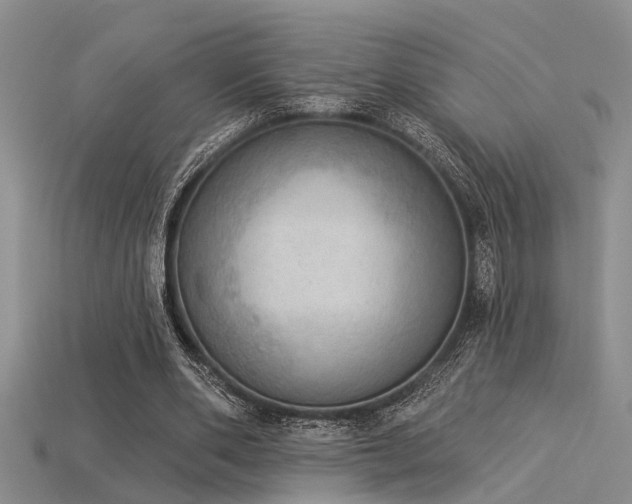 X0000115850486200911131555