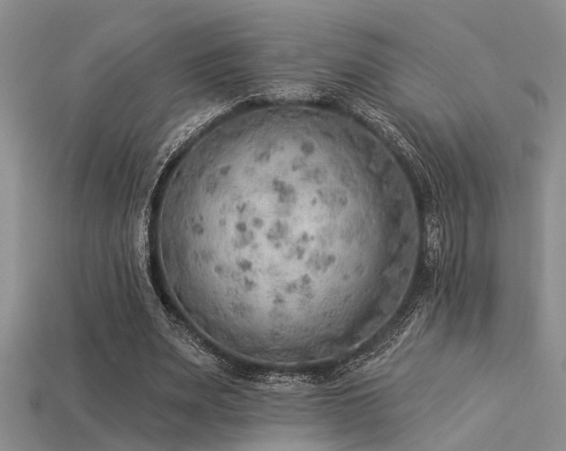 X0000115850487200911131555
