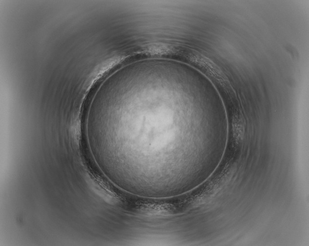 X0000115850488200911131555