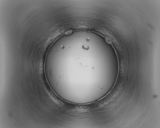 X0000115850489200911131555