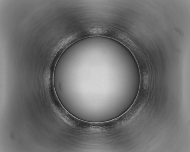 X0000115850490200911131555