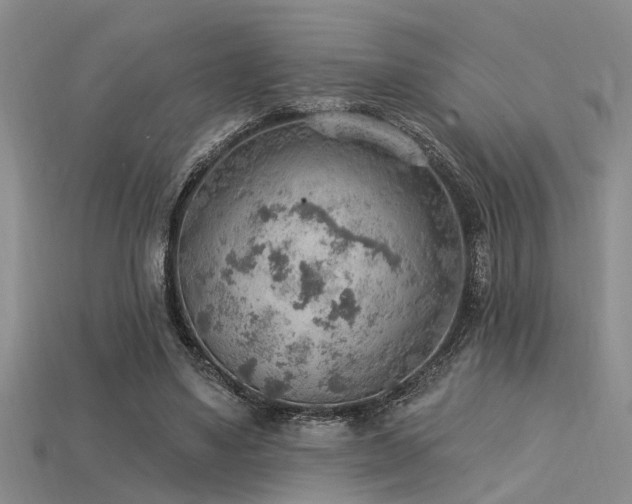X0000115850491200911131555