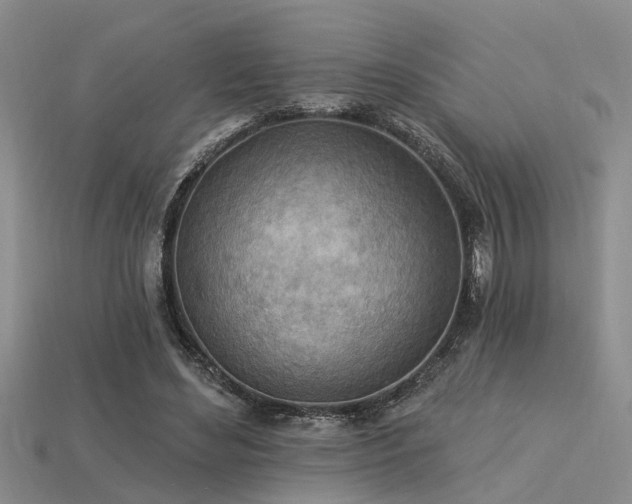 X0000115850492200911131555