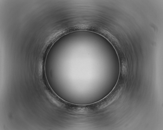 X0000115850493200911131555