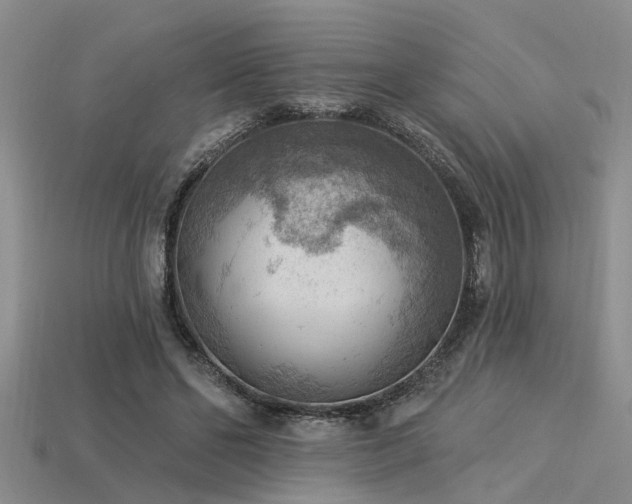 X0000115850494200911131555