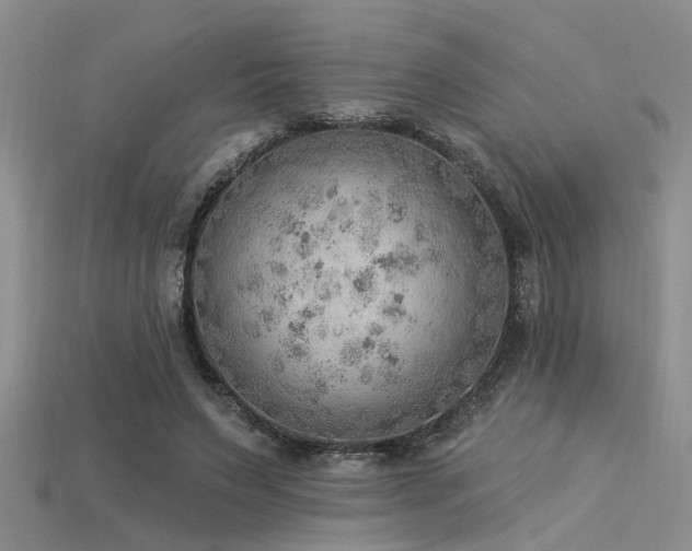 X0000115850495200911131555