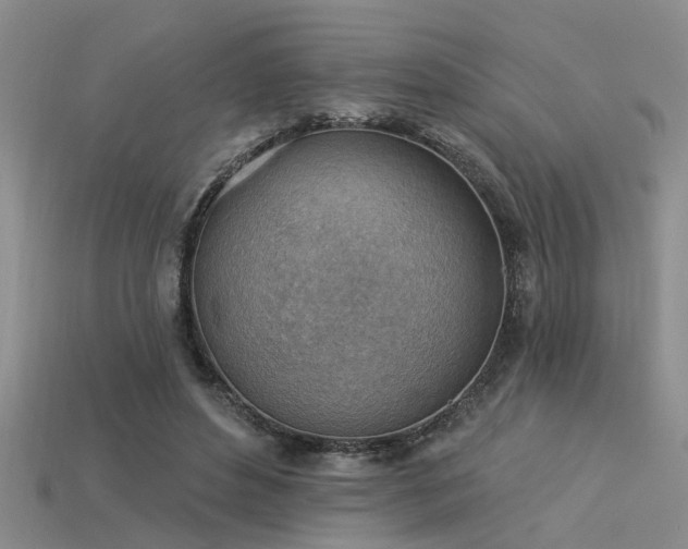 X0000115850496200911131555