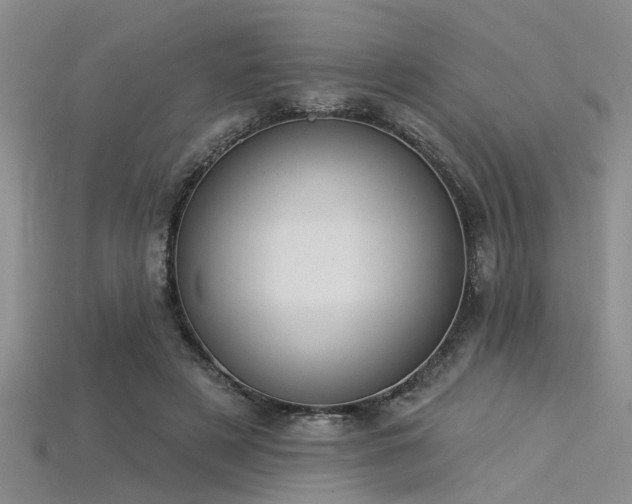 X0000115850497200911131555