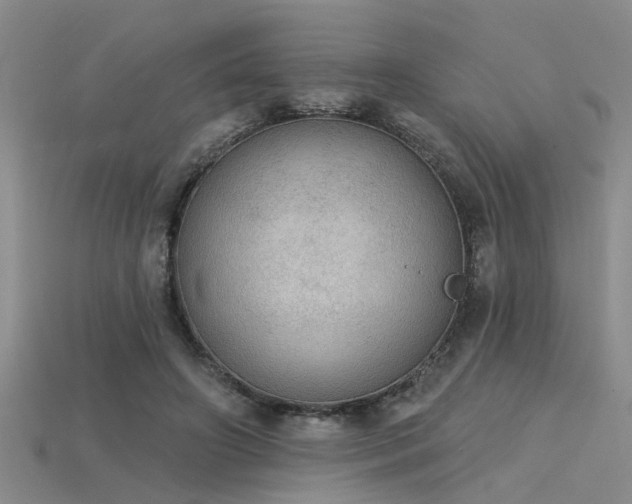 X0000115850498200911131555