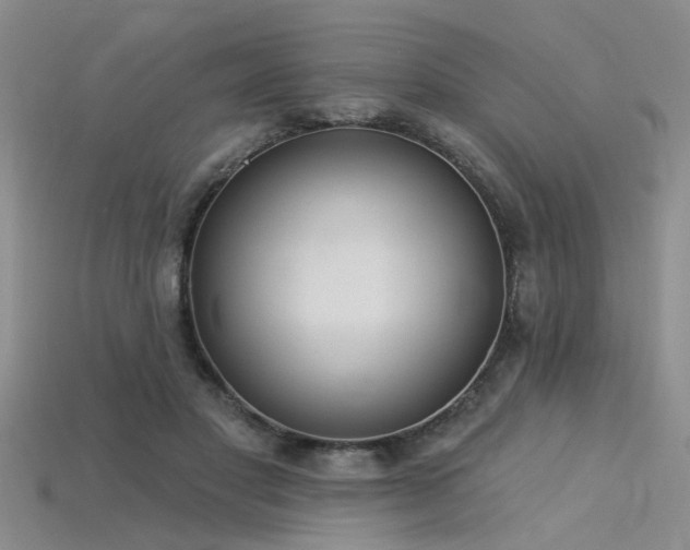 X0000115850501200911131554