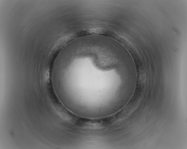 X0000115850502200911131554