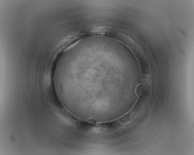 X0000115850504200911131554