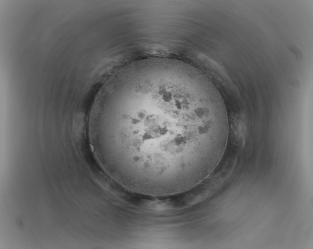 X0000115850511200911131554