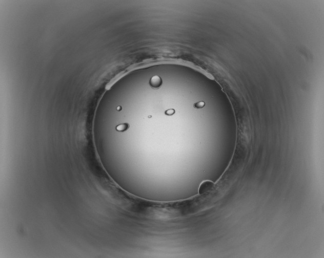 X0000115850512200911131554