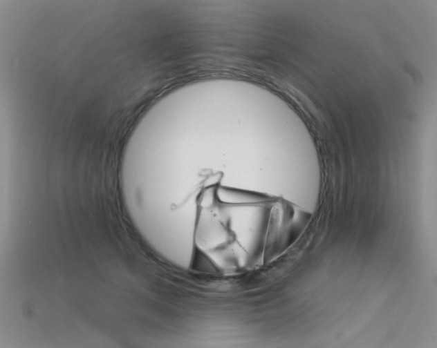X0000115850513200911131554