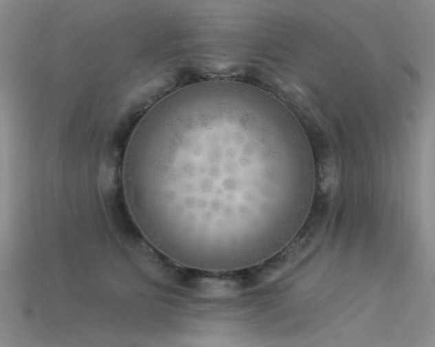 X0000115850515200911131554