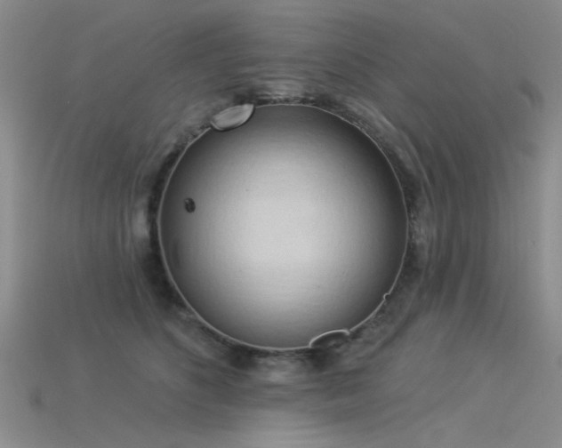 X0000115850516200911131554
