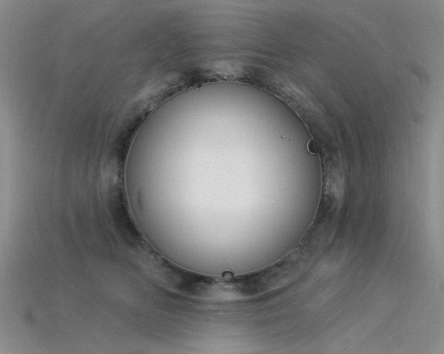 X0000115850518200911131554
