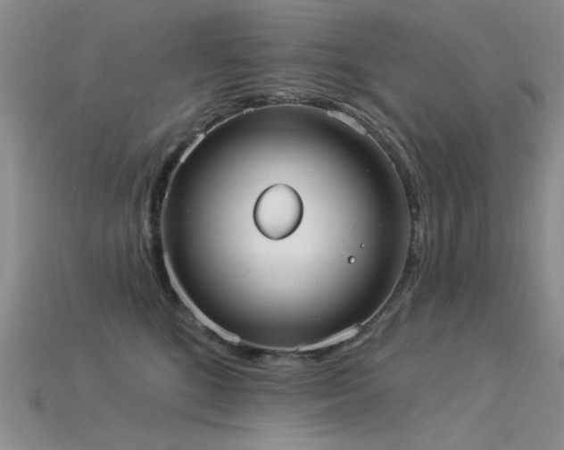 X0000115850520200911131554