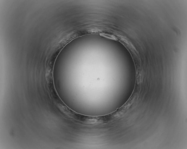 X0000115850521200911131554