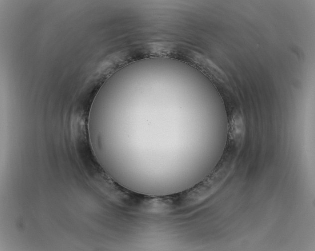 X0000115850522200911131554